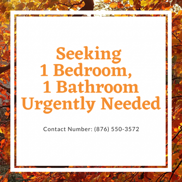 Seeking 1 Bedroom, 1 Bathroom For Rent