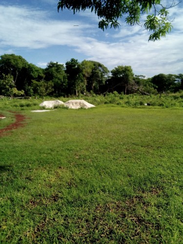 1/4 ACRE OF LAND