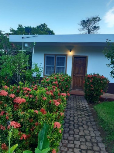 5 Self-contained Cottages- Guest House For Sale 