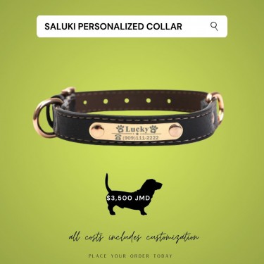 Customized Dog Collars 
