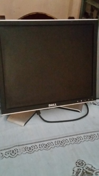 Dell Desktop Monitor Only 