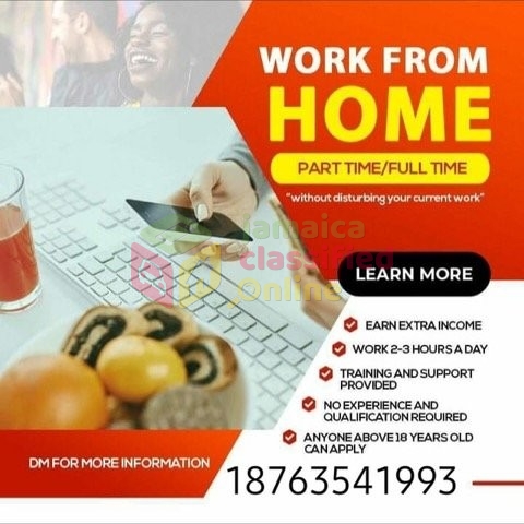 work from home jobs near me kingston