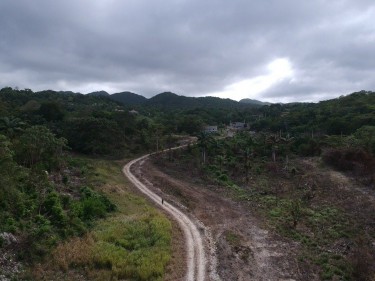 113 Acres Of Approved Subdivision - St. Ann
