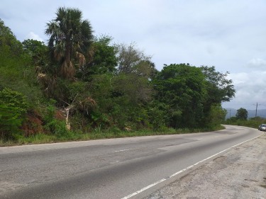 Commercial/Residential Land - Spur Tree Main Road