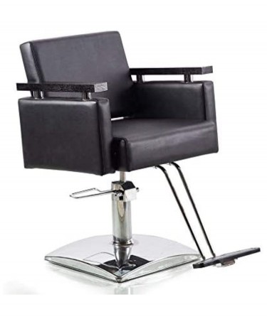 Professional Barber/hairdresser Chair