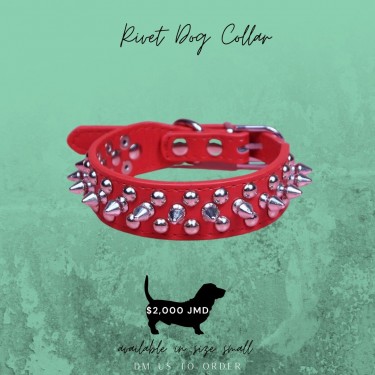 Rivet Dog Collar