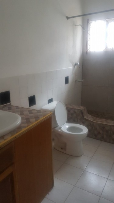 Monthly Lease On 1 Bedroom Apartment