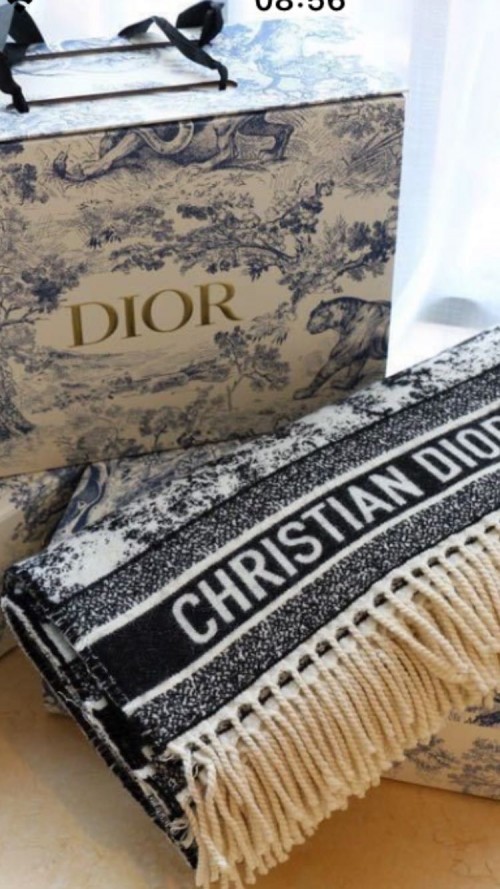 Cashmere Christian Dior Scarf