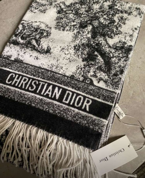 Cashmere Christian Dior Scarf