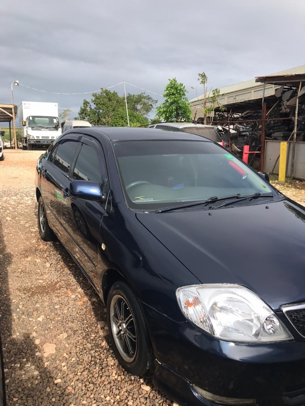 For Sale: 2004 Toyota Corolla - SPUR TREE