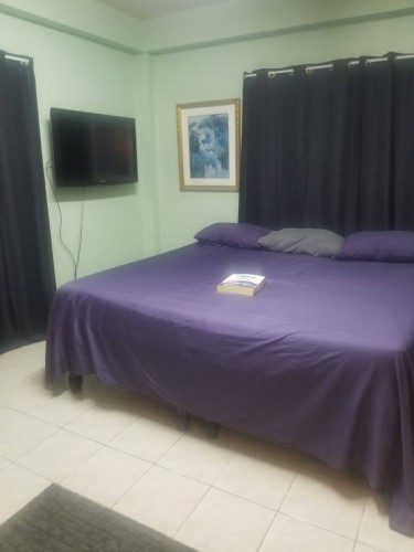 Roommate Needed-1 Bedroom Furnished/Unfurnished 