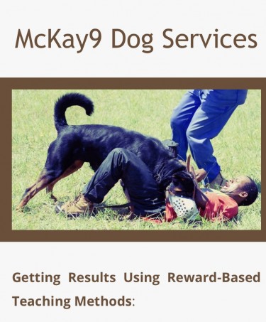 Dog Training Services 