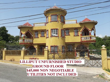 LILLIPUT STUDIO APARTMENT CLOSE TO MAIN ROAD