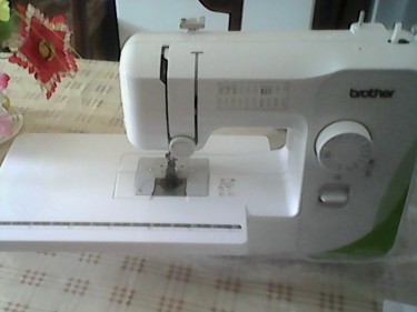 Domestic Sewing Machine