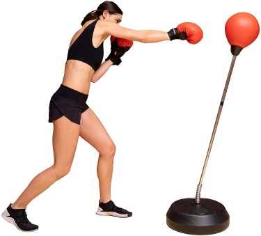 PROTOCOL Punching Bag, Gloves And Pump