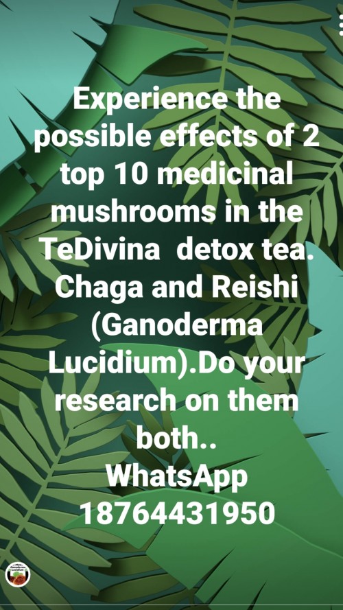 Buy And Sell TeDivina Detox Tea With Weight Loss