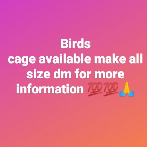 Cage Call For More Information