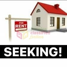 Seeking 1 Bedroom For Rent In Kingston 