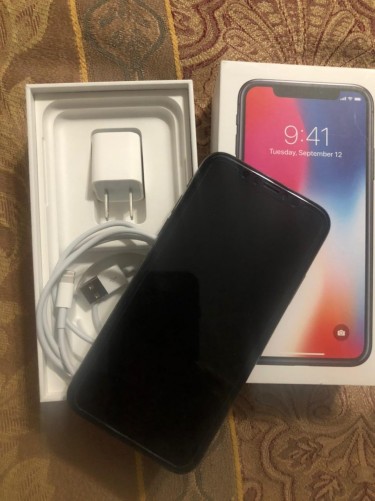 Iphone X (Mint Condition)