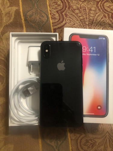 Iphone X (Mint Condition)