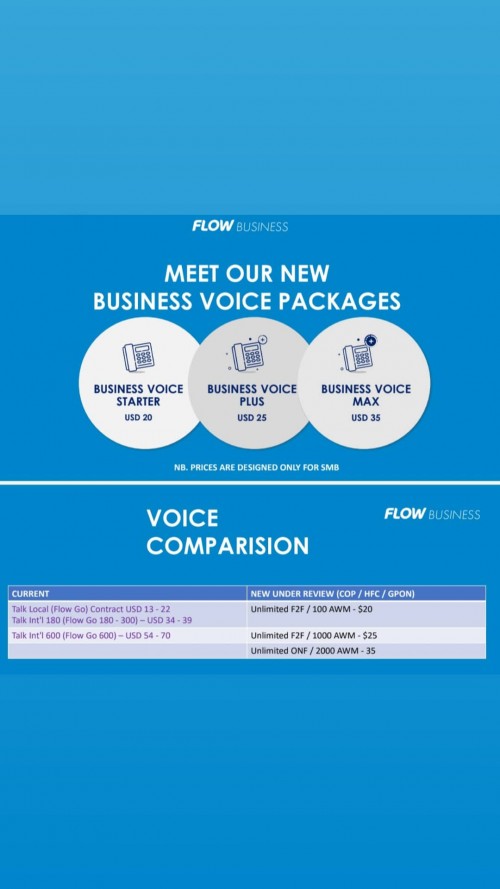 Flow Business Packages