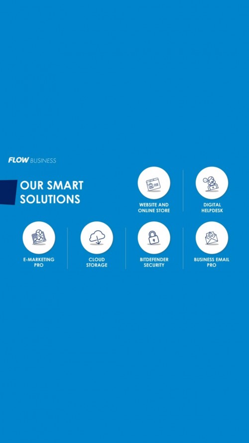 Flow Business Packages