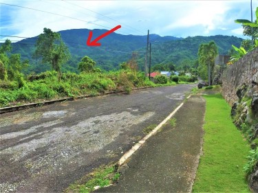 Land For Sale In Stony Hill