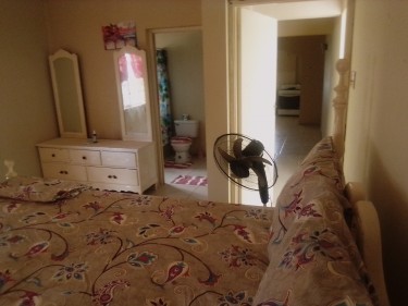 Serviced Apartment/1bed House
