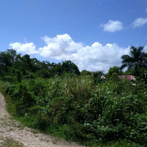 Coral Gardens Residential Lot - Approx. 888sq.m