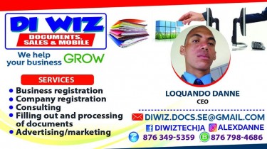 Diwiz Docs Biz Consulting Services