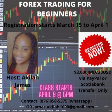 FOREX TRADING ONLINE CLASS FOR BEGINNERS 