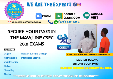 NEED ASSISTANCE WITH CSEC, PEP, REMEDIAL?