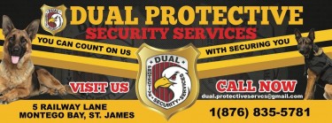 Dual Protective Security Services Ltd 
