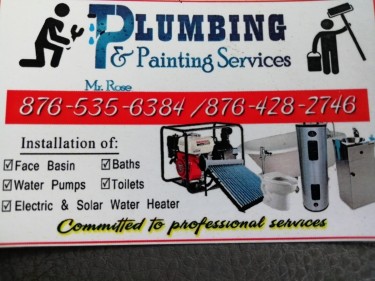 Plumbing & Painting Services
