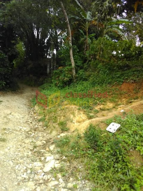 1/2 Acre Of Land For Sale (Mount Salus, Stony Hill