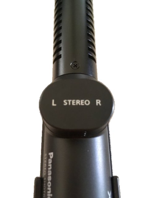Panasonic Lumix DMW-MS2 Stereo Shotgun Microphone