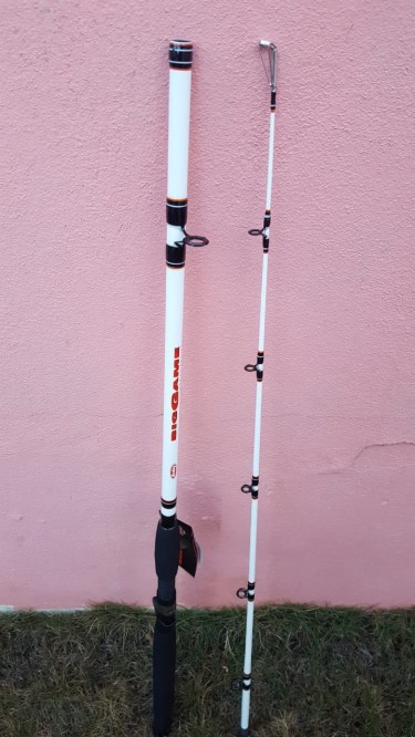 FISHING RODS FOR SALE