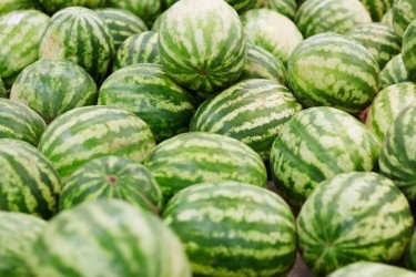 Water Melons