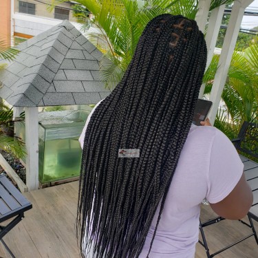 Knotless Braids/Passion Twists/Butterfly Locs
