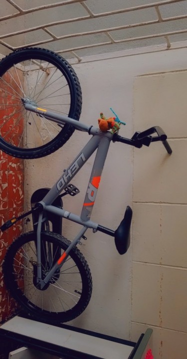 Leho Bicycle