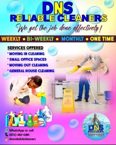 DNS Reliable Cleaners