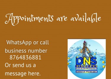 DNS Reliable Cleaners