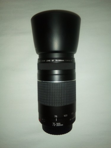 Canon EF 75-300mm F/4-5.6 III Telephoto Zoom Lens
