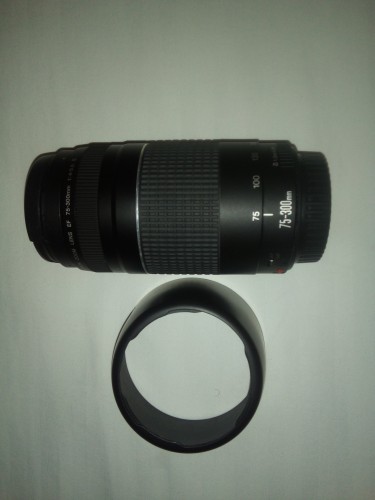 Canon EF 75-300mm F/4-5.6 III Telephoto Zoom Lens