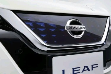 Brand New Nissan Leaf