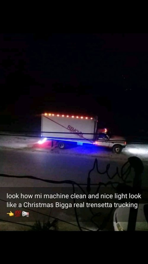 PROFESSIONAL MOVING TRUCK