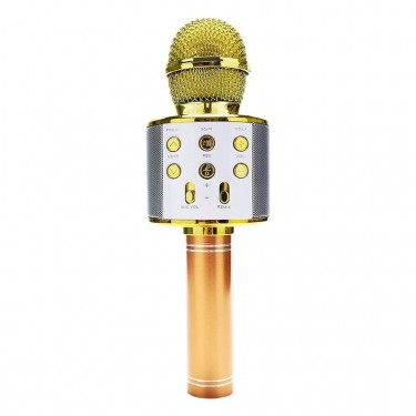 Portable Bluetooth Karaoke Microphone