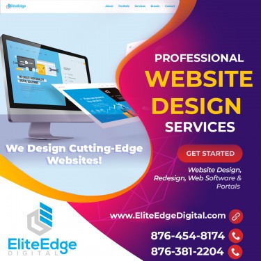 Professional  Website Design