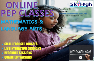 ONLINE CLASSES (SKYHIGH Customized Education)