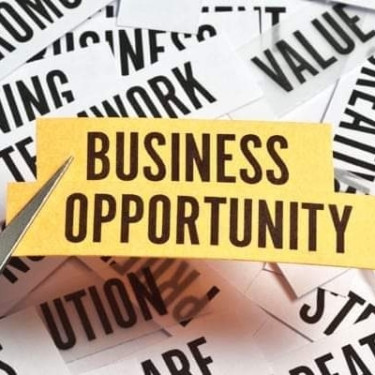 Online Business Opportunity 